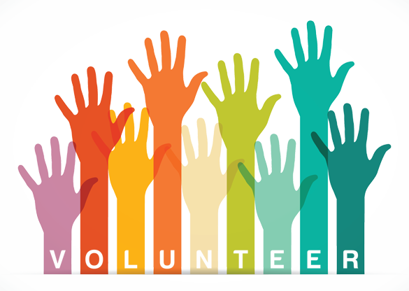 Volunteers Raised Hands