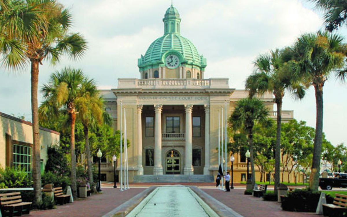 Rows of palm trees with a County Court House in the background.